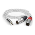 iFi pentaconn 4.4-XLR 1m