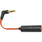 iFi EarBuddy