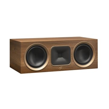 Martin Logan Foundation C1