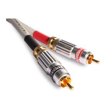 Rega Couple 2