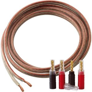 Linn K10 Terminerad BFA (st)