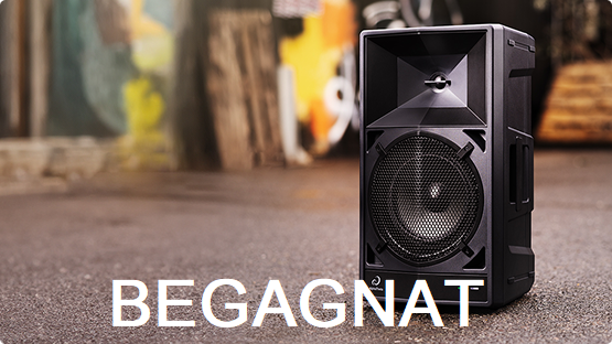 Begagnat