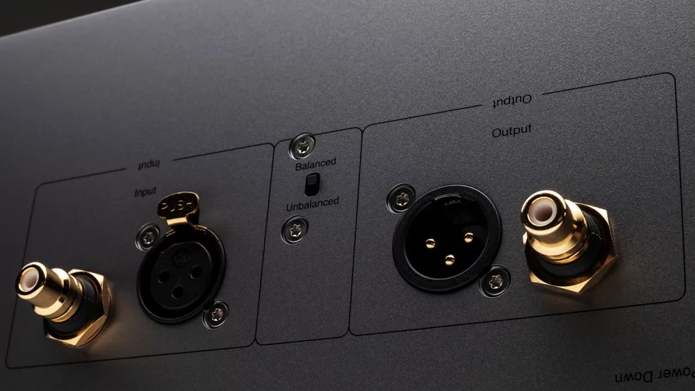 Edge W Power Amplifier rear close-up